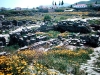 dscn6808-temple-of-apollo-corinth-athens-fdr-1971-wl