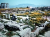 dscn6813-temple-of-apollo-corinth-athens-fdr-1971-wl