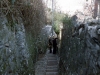 02-015-mar60-genoa