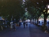 073-oct60-cannes