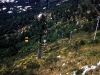 109-aug61-cannesnice-capri